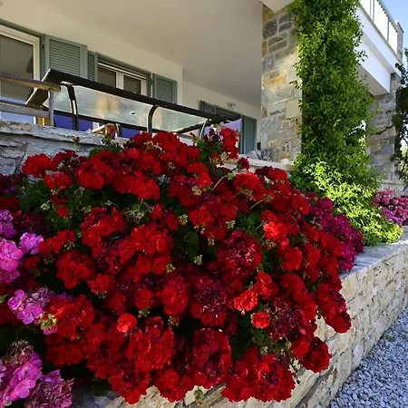 Agrielia House Alonnisos Town